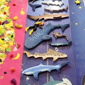 Photo submitted by Jen