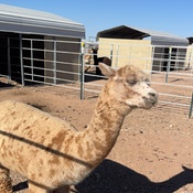 Photo submitted by Tracy