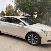 Photo submitted by janet