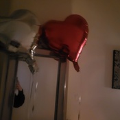 Photo submitted by Guest