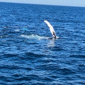 Photo submitted by Francie