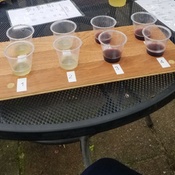 Photo submitted by Darrick