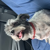 Photo submitted by Vicki