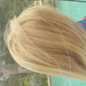 Photo submitted by Lana