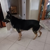 Photo submitted by Sherry