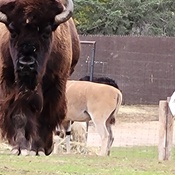 Photo submitted by Linda