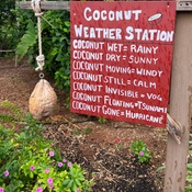 Photo submitted by 祯