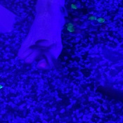 Photo submitted by Rachel