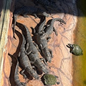 Photo submitted by Wendy