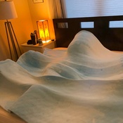 Photo submitted by Jason