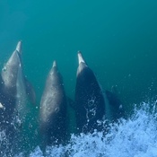 Photo submitted by Amy