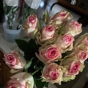 Photo submitted by michael