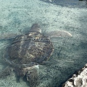 Photo submitted by Heather