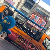 Photo submitted by Kelli