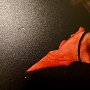 Photo submitted by Tracy