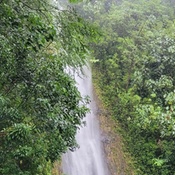 Photo submitted by Zachary