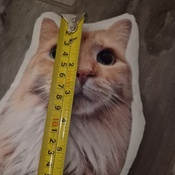 Photo submitted by Heidi