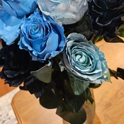 Photo submitted by Denise