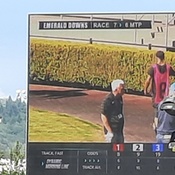 Photo submitted by Ronald