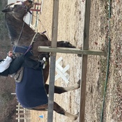 Photo submitted by Liz