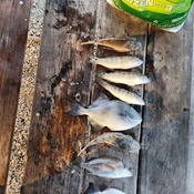 Photo submitted by John