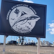 Photo submitted by Luiza