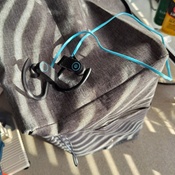 Photo submitted by Thomas