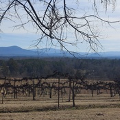 Photo submitted by Teresa