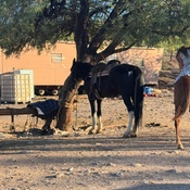 Photo submitted by Kwamaysia