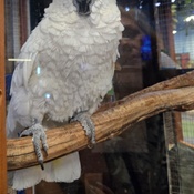 Photo submitted by Joanna