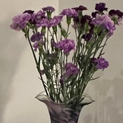 Photo submitted by Dennis