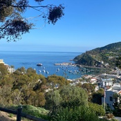 Photo submitted by Fatin