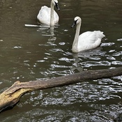 Photo submitted by Jamal