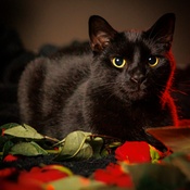 Photo submitted by Kari