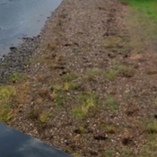 Photo submitted by Nydia