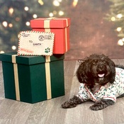 Photo submitted by Ashley