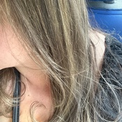 Photo submitted by Parisa