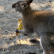 Photo submitted by Gina