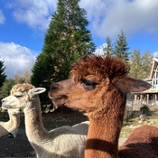 Photo submitted by MB