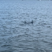 Photo submitted by CHRISTY