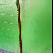 Photo submitted by Rosalyn