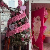 Photo submitted by Sandra