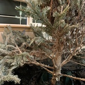 Photo submitted by Tamara