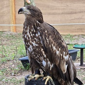 Photo submitted by Anthony