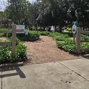 Photo submitted by Rebecca