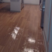 Photo submitted by Guest