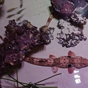 Photo submitted by Kendra