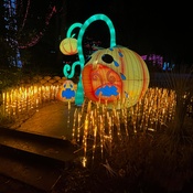 Photo submitted by Crystal