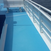 Photo submitted by JOSE