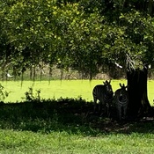 Photo submitted by Linda